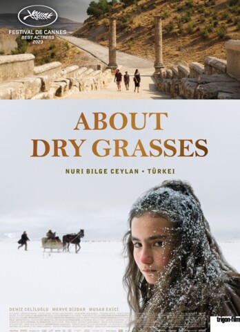 Filmkritik - About Dry Grasses - Cineman