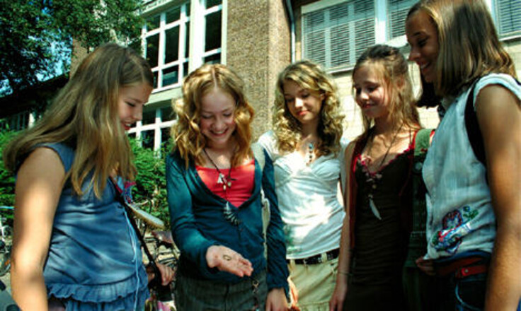 Die Wilden Hühner Ganzer Film Die Wilden Hühner Ganzer Film