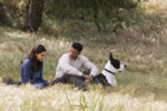 Seven Pounds (2008) - Will Smith, Rosario Dawson Seven Pounds (2008) - Will Smith, Rosario Dawson