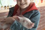 Charlotte's Web (2006) - Dakota Fanning