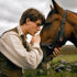 War Horse