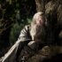 The Hobbit: An Unexpected Journey