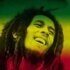 Marley Marley