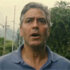 The Descendants