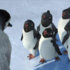 Happy Feet Happy Feet