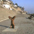 Ayurveda - The Art Of Being