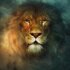 The Chronicles of Narnia: The Lion, the Witch and the Wardrobe The Chronicles of Narnia: The Lion, the Witch and the Wardrobe