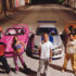 2 Fast 2 Furious 2 Fast 2 Furious
