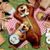 Yogi Bear Yogi Bear