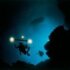 Coral Reef Adventure