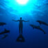 Die Bucht - The Cove Die Bucht - The Cove