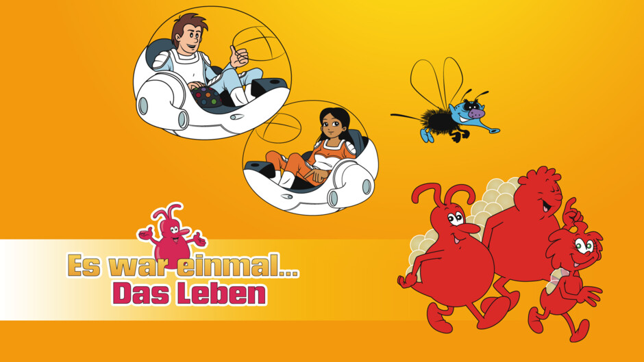Es War Einmal Das Leben Gehirn Es War Einmal Das Leben Gehirn