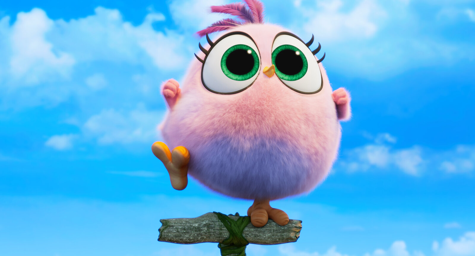 Bilder - Angry Birds 2 - Der Film - Cineman