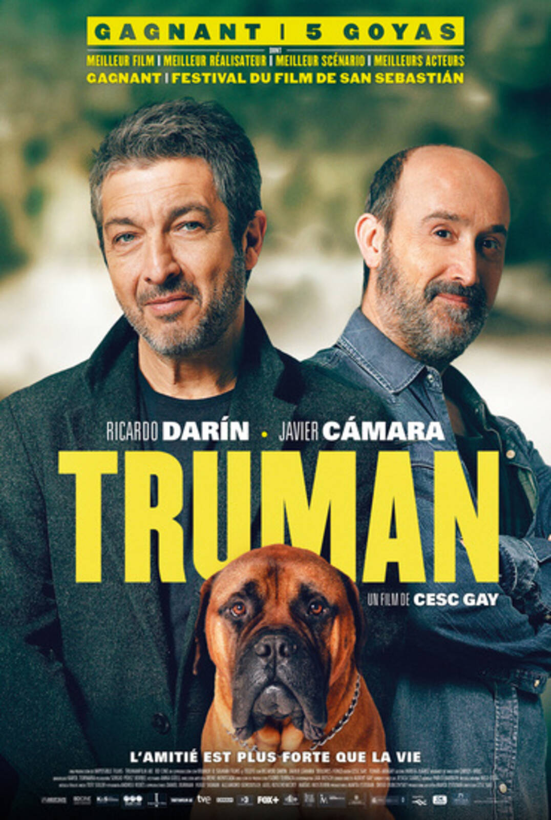 Film Truman - Cineman