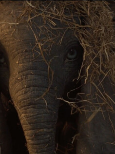 «Dumbo» - Par le visionnaire Tim Burton