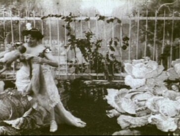Einer der ersten fiktiven Filme überhaupt: «Die Kohlfee» von Alice Guy aus dem Jahr 1896.