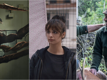 Neu im Kino: 3 Filme, die wir euch diese Woche ans Herz legen