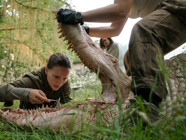 Netflix-Tipp «Annihilation»: Natalie Portman auf Monster-Mission