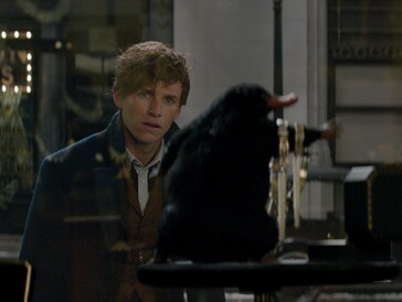Tout Ce Que Vous Devez Savoir Sur Les Animaux Fantastiques En 11 Anecdotes Cineman