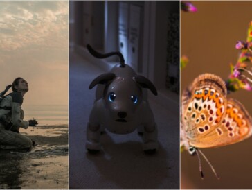 Neu im Kino: 3 Filme, die wir euch diese Woche ans Herz legen