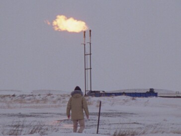 10 films qui sonnent la cloche de l’urgence écologique