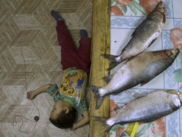 Das dritte Goldene Auge ging an den Dokumentarfilm «Life of Ivanna» von Renato Borrayo Serrano