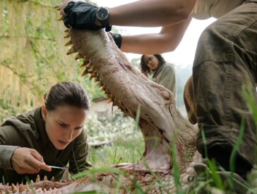 33 films originaux Netflix à (re)voir absolument