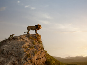 «Der König der Löwen» sorgt dank passender Kulisse für einen lauschigen Kinoabend unter dem Sternenhimmel.