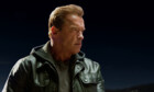 Arnold Schwarzenegger: «Ich wollte schon immer neue Türen öffnen»