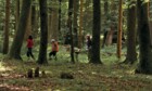 Von Kindern und Bäumen - Ein Jahr in der Waldschule