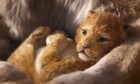 Von Aladdin bis Dumbo: Mit diesen 5 Filmen will Disney in diesem Jahr begeistern