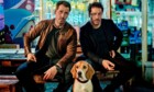 Netflix-Kritik «Dogs of Berlin»: Die nächste Gangsterserie aus der deutschen Hauptstadt