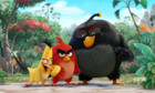 Angry Birds: Der Film