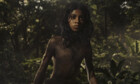 Netflix-Kritik «Mogli: Legende des Dschungels»: Eine durchwachsene Neuinterpretation