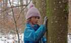 Von Kindern und Bäumen - Ein Jahr in der Waldschule