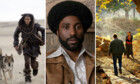 Les sorties cinéma : Le top 3 des meilleurs films de la semaine !
