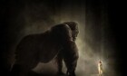 «King Kong» kein Kassenhit