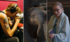 Neu im Kino: Diese 3 Filme legen wir euch diese Woche ans Herz