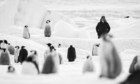 Antarctica Calling - Voyage au pôle Sud