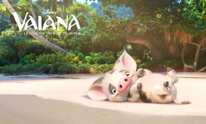 Pua est le petit cochon apprivoisé par Vaiana. Il est aussi attendrissant et débordant d'énergie qu'un petit chiot.