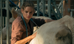 Au coeur du Morvan, les souvenirs brûlés 