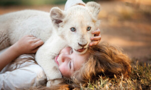 Mia And The White Lion