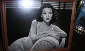 Hedy Lamarr – Secrets of a Hollywood Star