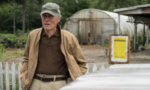 The Mule