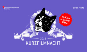 16. Kurzfilmnacht-Tour: Winterthur