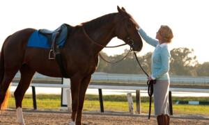 Secretariat - Ein Pferd wird zur Legende