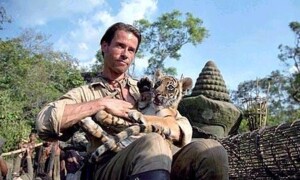 Guy Pearce nimmt es in «Two Brothers» mit Tigern auf