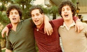 Three Identical Strangers