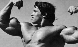 Arnold Schwarzenegger: Tops & Flops