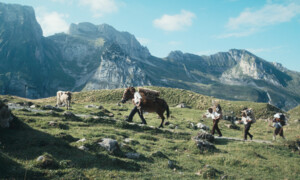 Hölde - Die stillen Helden vom Säntis